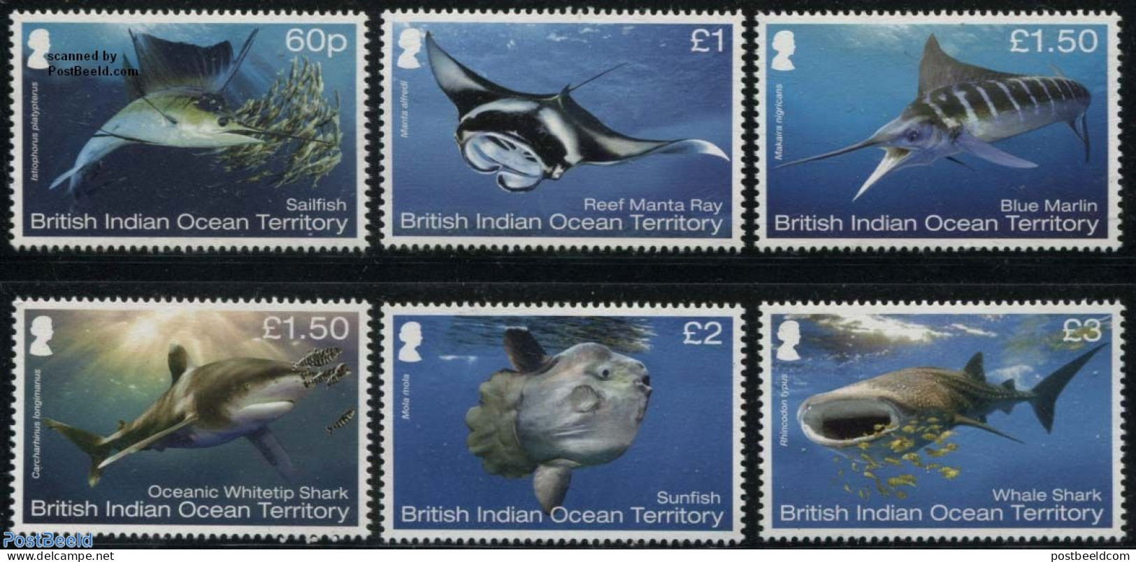 British Indian Ocean 2017 Fish 6v, Mint NH, Nature - Fish - Fishes