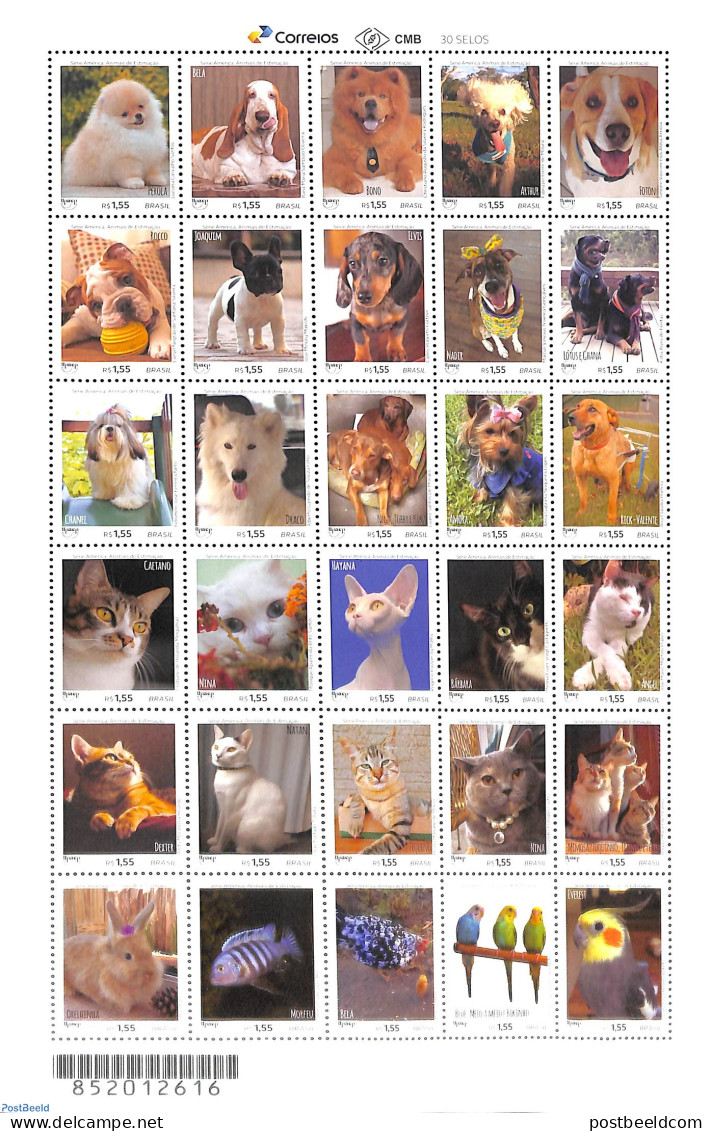 Brazil 2019 UPAEP, Domestic Animals 30v M/s, Mint NH, Nature - Birds - Cats - Dogs - Fish - Rabbits / Hares - U.P.A.E. - Unused Stamps
