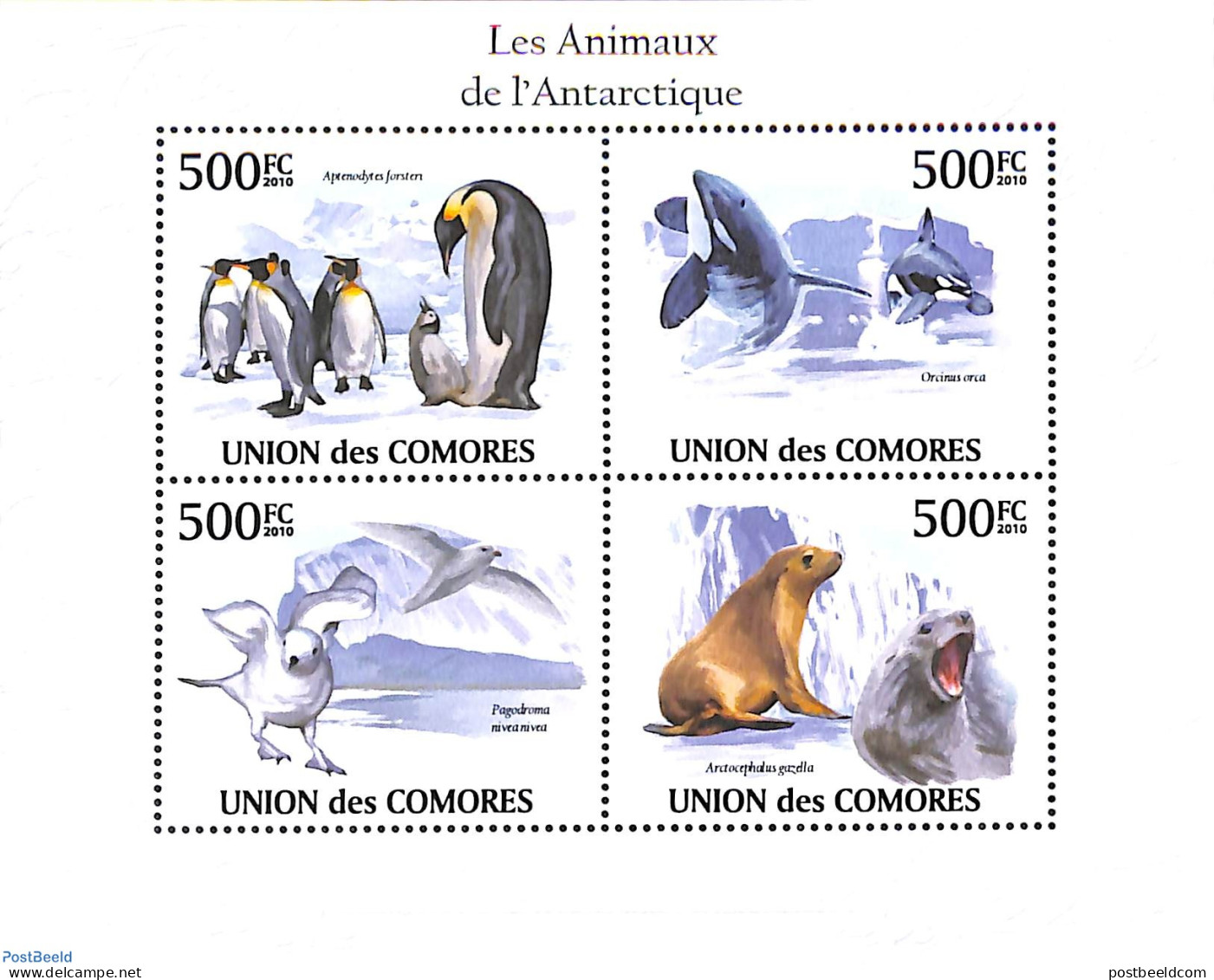 Comoros 2010 Antarctic Animals 4v M/s, Mint NH, Nature - Birds - Penguins - Sea Mammals - Komoren (1975-...)