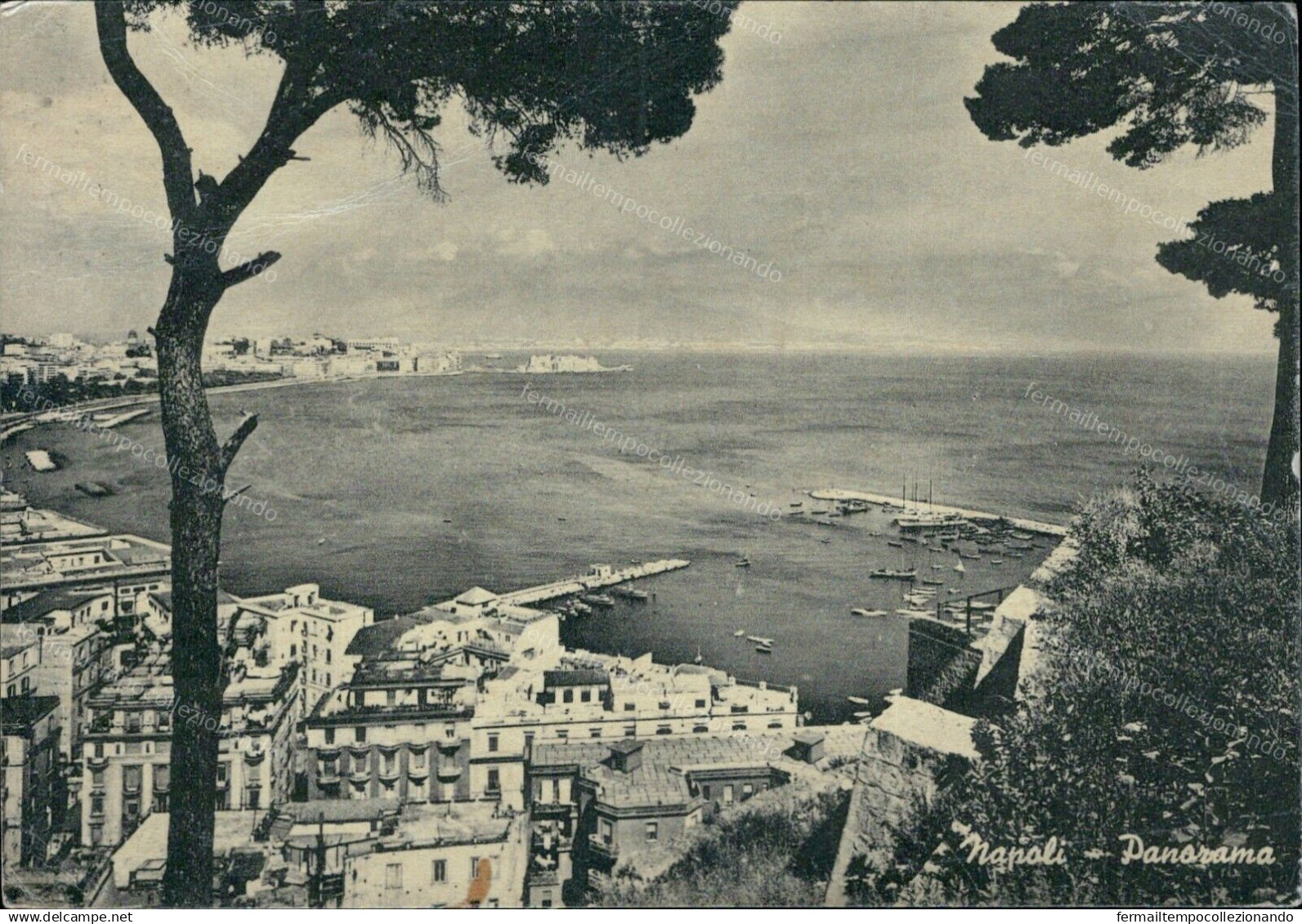 G756 Cartolina Napoli Citta' Panorama Campania - Napoli (Neapel)