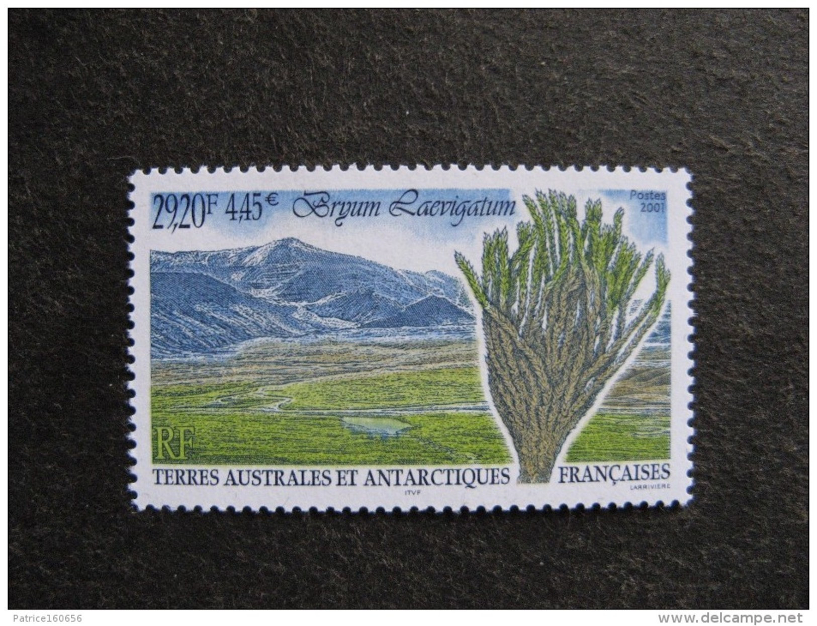 TAAF:  TB  N° 293, Neuf XX. - Unused Stamps