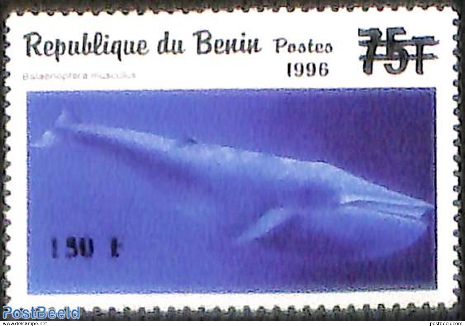 Benin 2000 Balaenoptera Musculus, Whale, Overprint, Mint NH, Nature - Sea Mammals - Unused Stamps