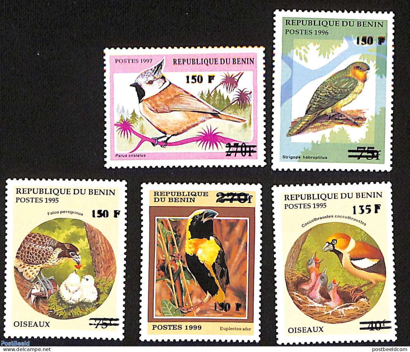 Benin 2000 Birds, Set Of 5 Stamps, Overprint, Mint NH, Nature - Birds - Ungebraucht