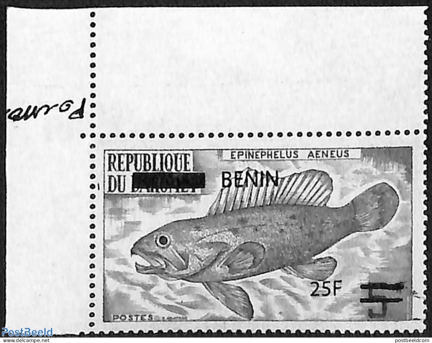 Benin 2007 Epinephelus Aeneus, Fish, Rare, Overprint, Mint NH, Nature - Various - Fish - Errors, Misprints, Plate Flaws - Nuevos