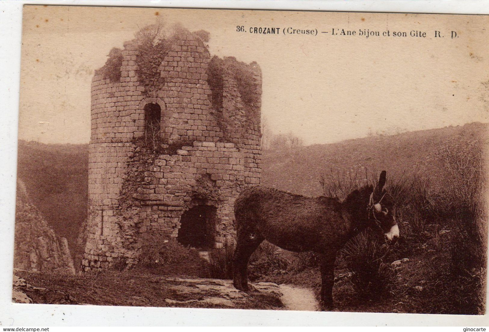 Crozant Ane Bijou Et Son Gite - Crozant