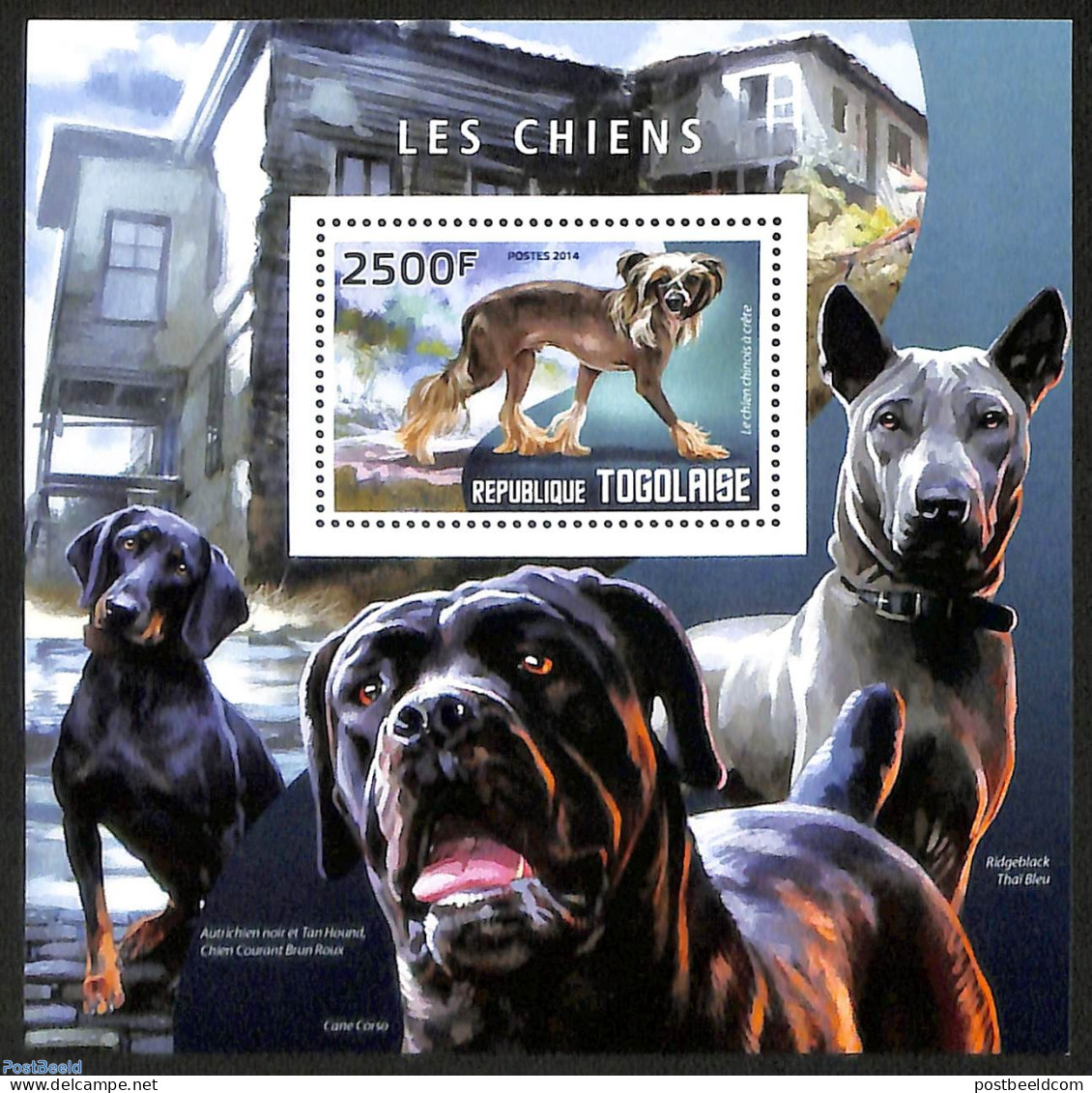 Togo 2014 Dogs, Mint NH, Nature - Dogs - Togo (1960-...)