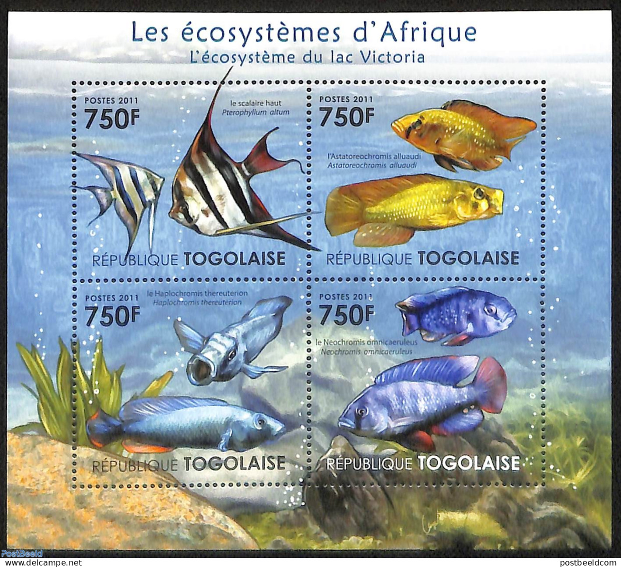Togo 2011 Ecosystem, Lake Victoria 4v M/s, Mint NH, Nature - Fish - Vissen