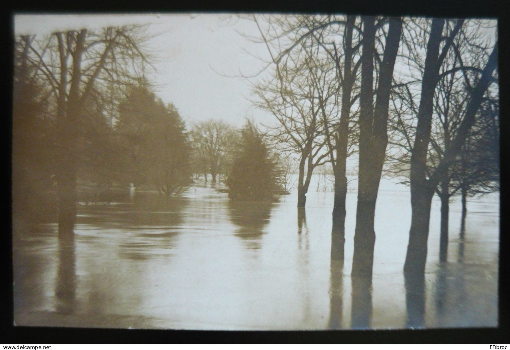 25 - BESANCON - La Promenade Chamars  - Inondations De 1910 (CARTE-PHOTO) - Besancon