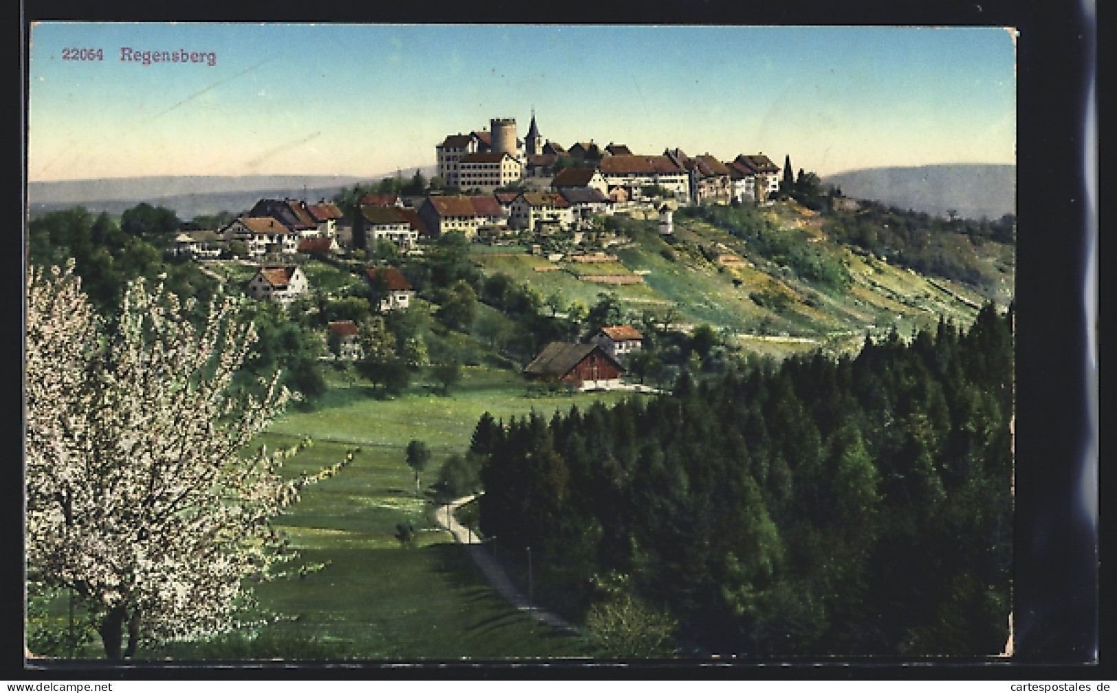 AK Regensberg, Ortsansicht Im Frühling  - Sonstige & Ohne Zuordnung