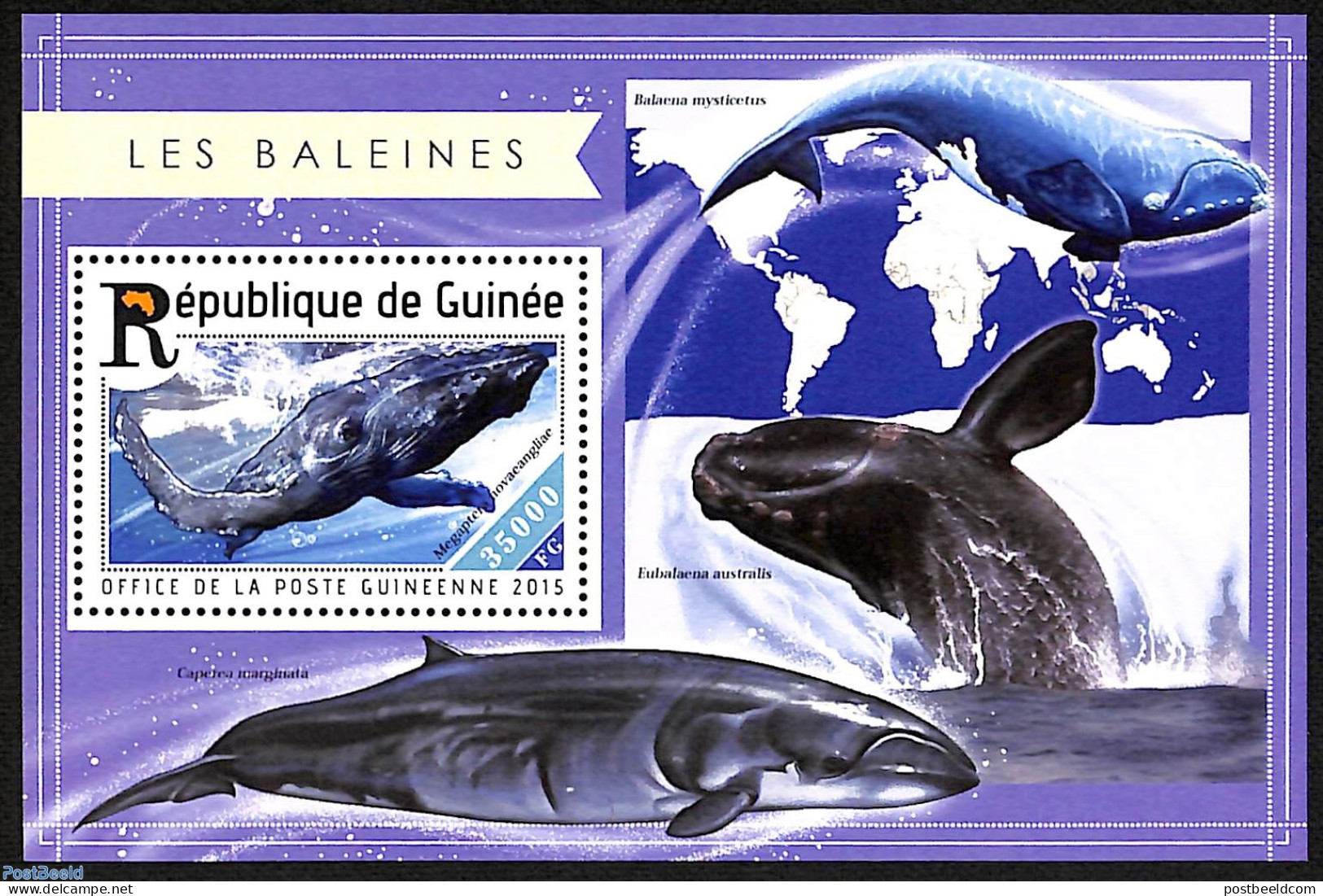 Guinea, Republic 2015 Whales, Mint NH, Nature - Fish - Peces