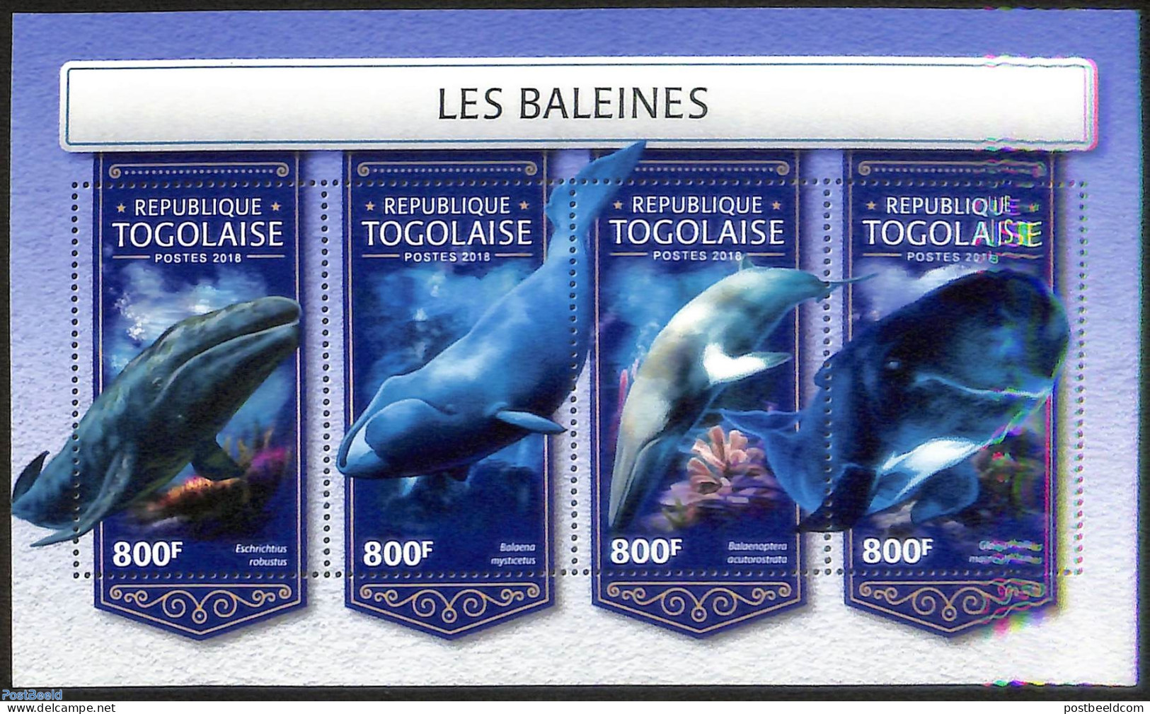 Togo 2018 Whales, Mint NH, Nature - Sea Mammals - Togo (1960-...)