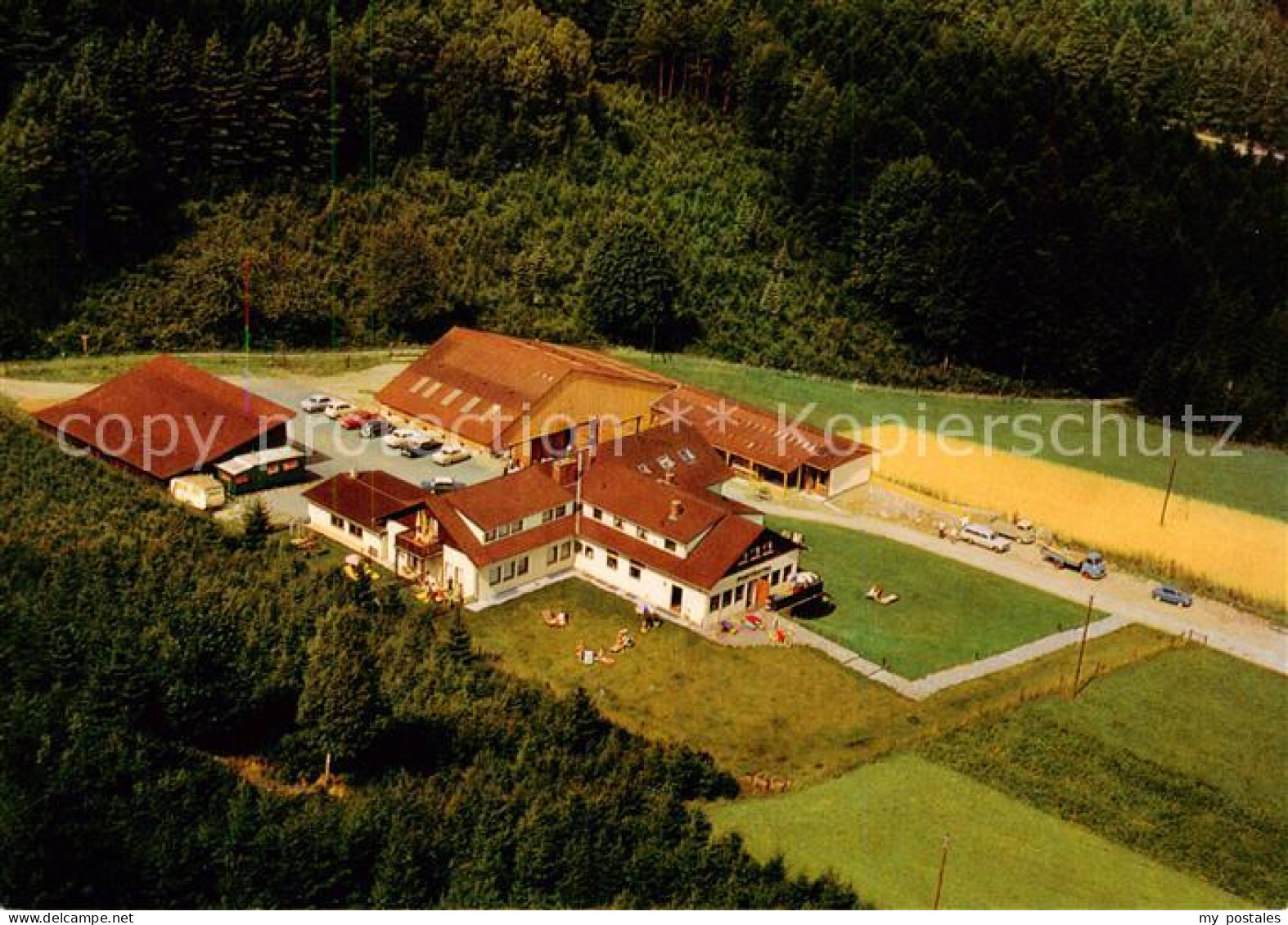 73793677 Hammelbach Pony Hotel Reitstall Hoehenluftkurort Im Odenwald Hammelbach - Autres & Non Classés
