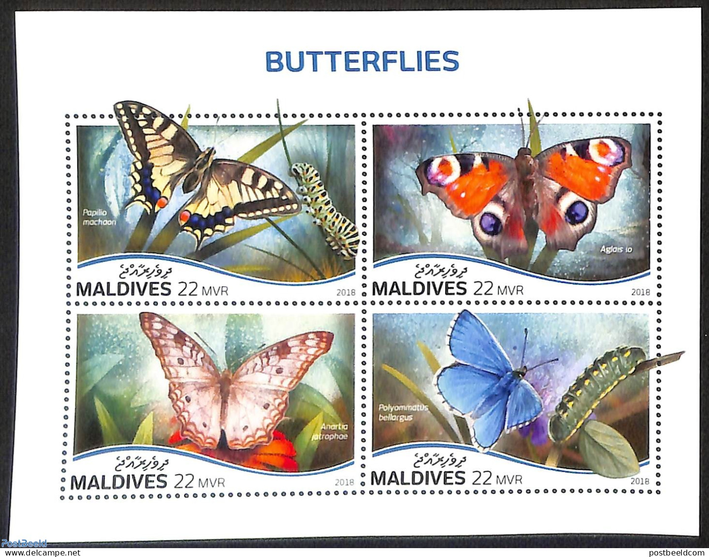 Maldives 2018 Butterflies, Mint NH, Nature - Butterflies - Maldives (1965-...)