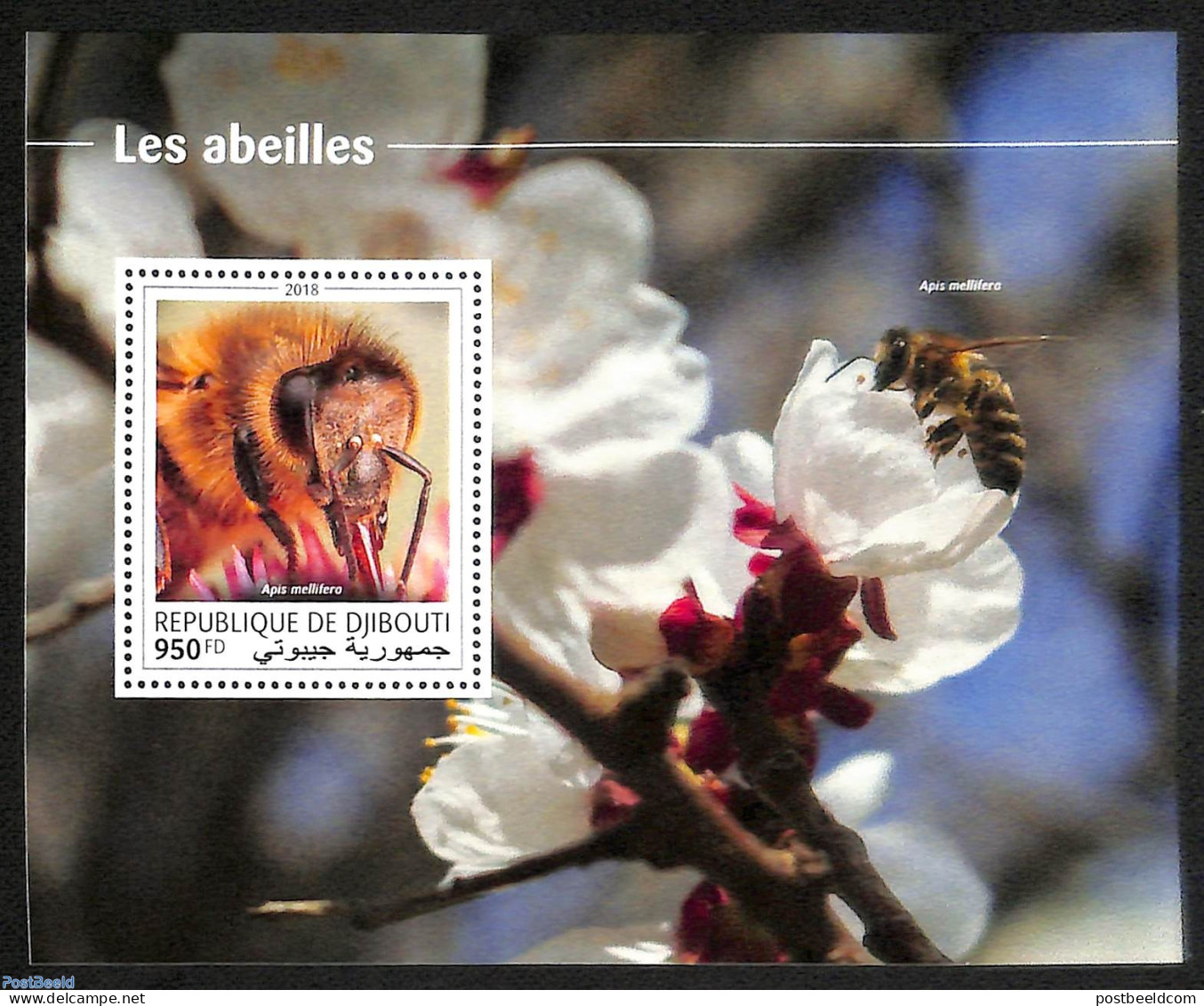 Djibouti 2018 Bees, Mint NH, Nature - Bees - Gibuti (1977-...)