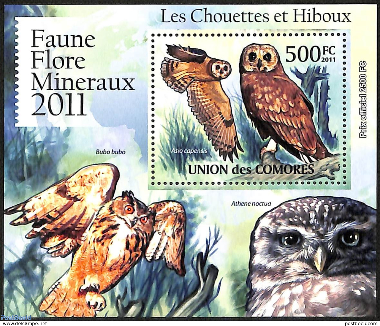 Comoros 2011 Owls, Mint NH, Nature - Birds - Birds Of Prey - Owls - Comores (1975-...)
