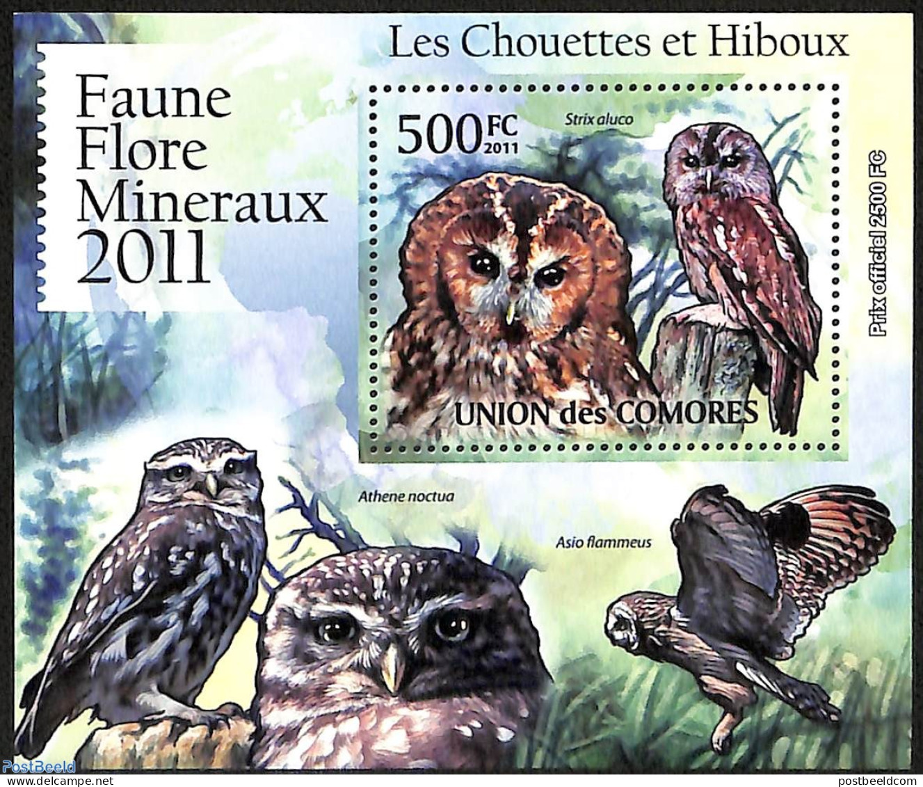 Comoros 2011 Owls, Mint NH, Nature - Birds - Birds Of Prey - Owls - Comoren (1975-...)