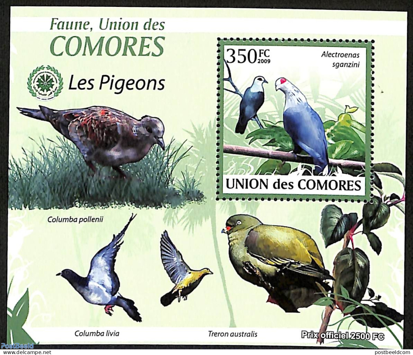 Comoros 2009 Pigeons, Mint NH, Nature - Birds - Pigeons - Comores (1975-...)
