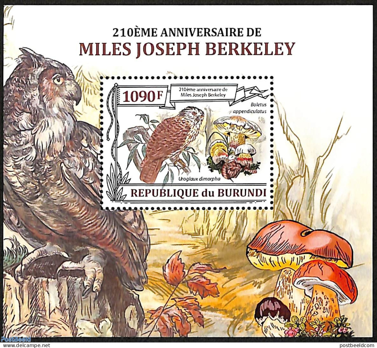 Burundi 2013 210th Anniversary Of Miles Joseph Berkeley, Mint NH, Nature - Birds - Birds Of Prey - Mushrooms - Owls - Champignons