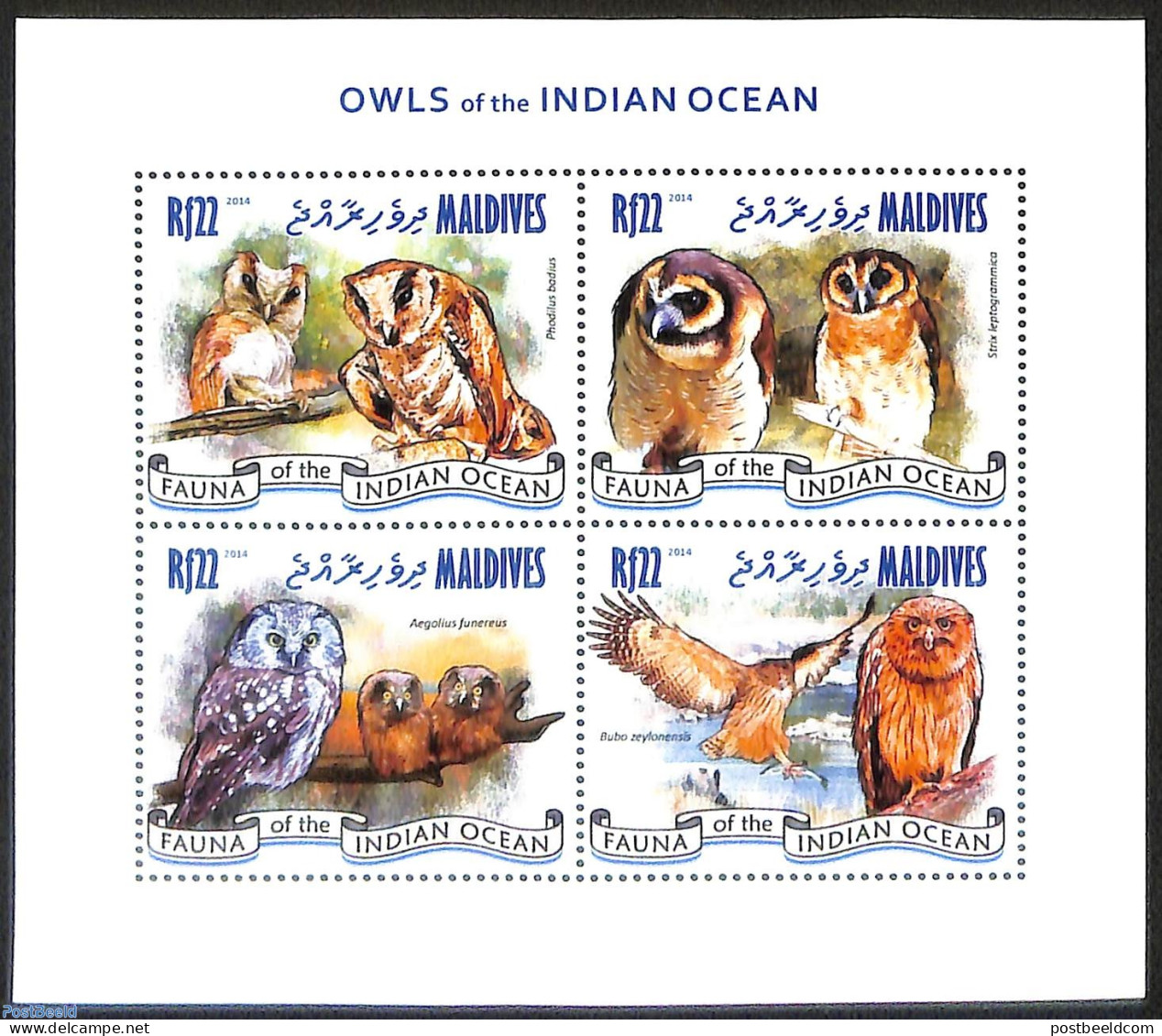 Maldives 2014 Owls Of The Indian Ocean, Mint NH, Nature - Birds - Birds Of Prey - Owls - Maldiven (1965-...)