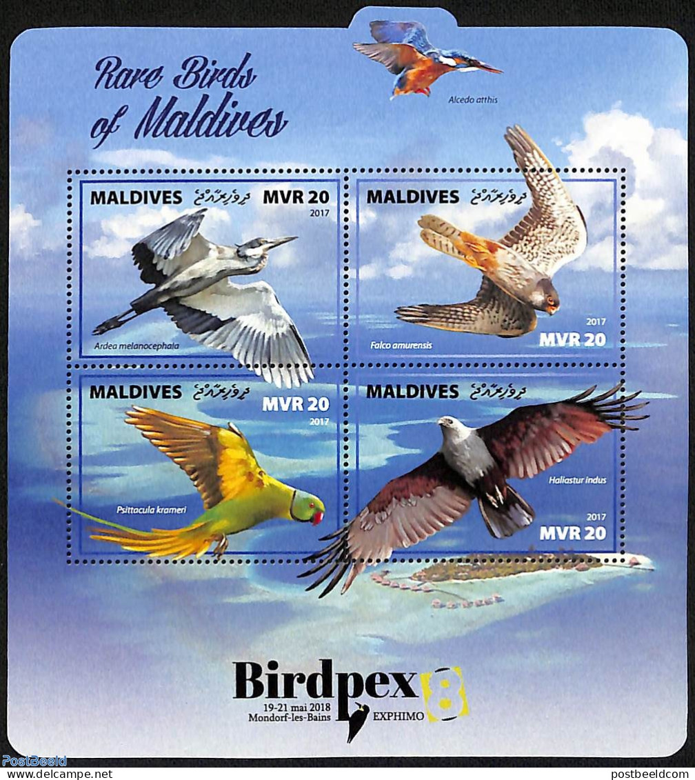 Maldives 2017 Rare Birds Of The Maldives, Mint NH, Nature - Birds - Birds Of Prey - Maldives (1965-...)