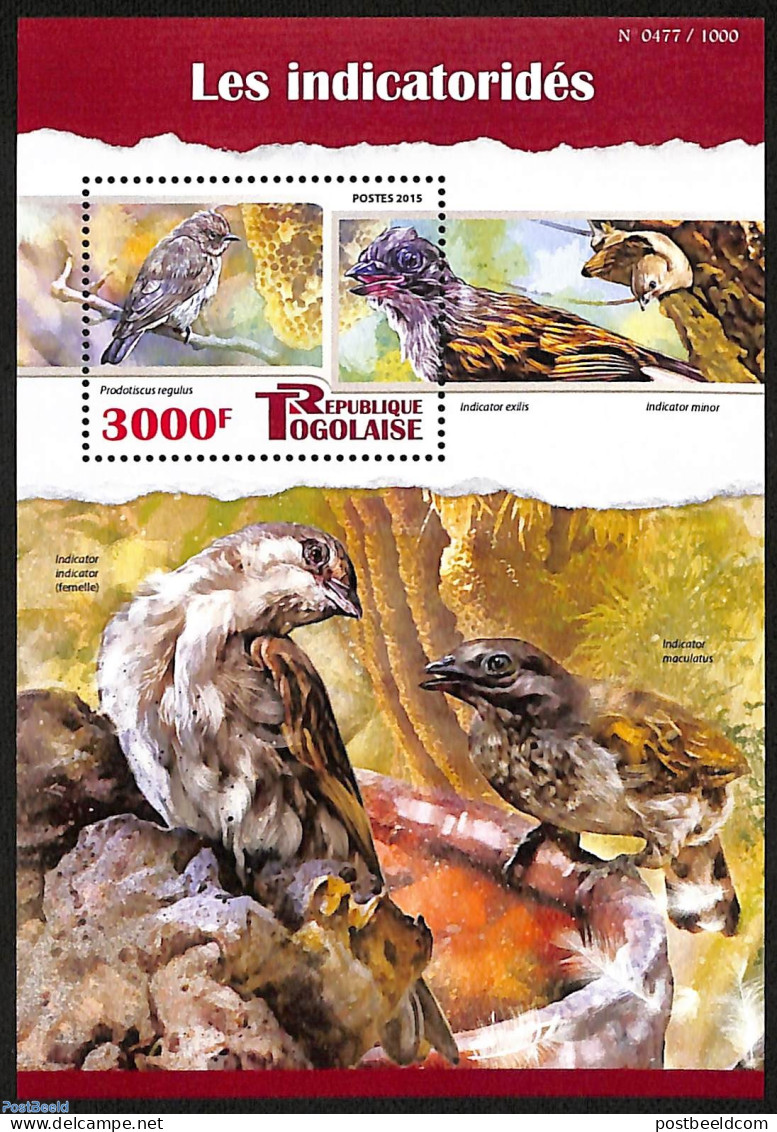 Togo 2015 The Indicatorides, Mint NH, Nature - Birds - Togo (1960-...)