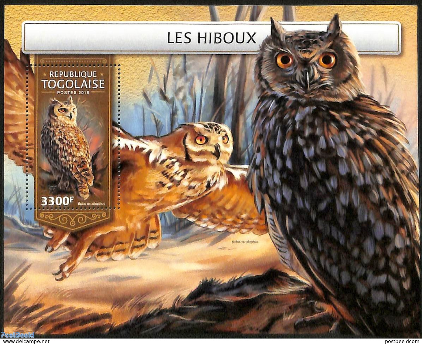 Togo 2018 Owls, Mint NH, Nature - Birds - Birds Of Prey - Owls - Togo (1960-...)