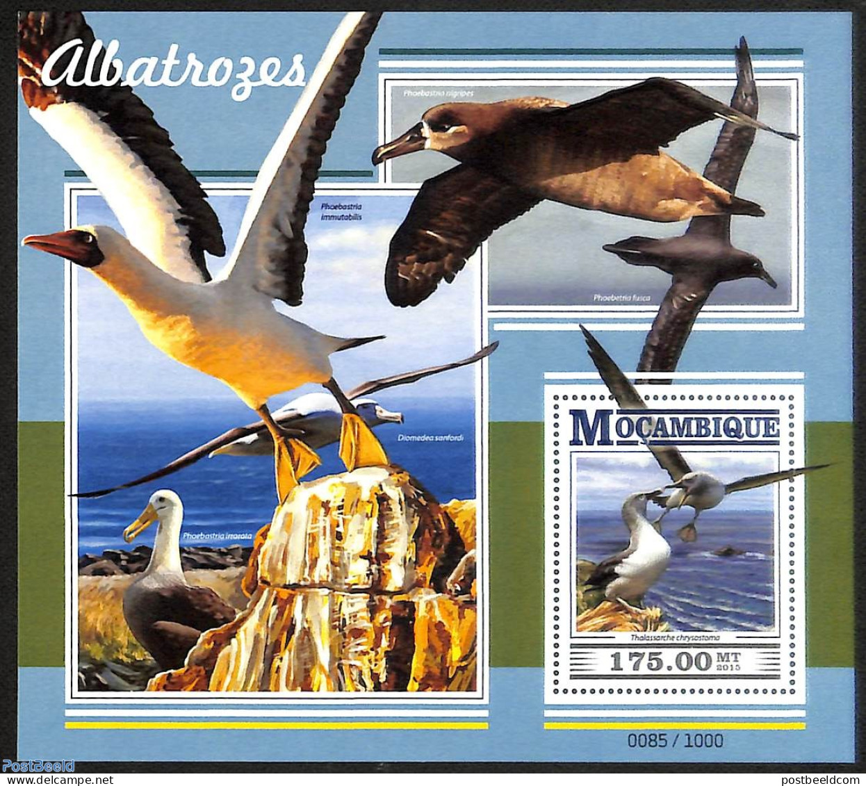 Mozambique 2015 Albatrosses, Mint NH, Nature - Birds - Mozambique