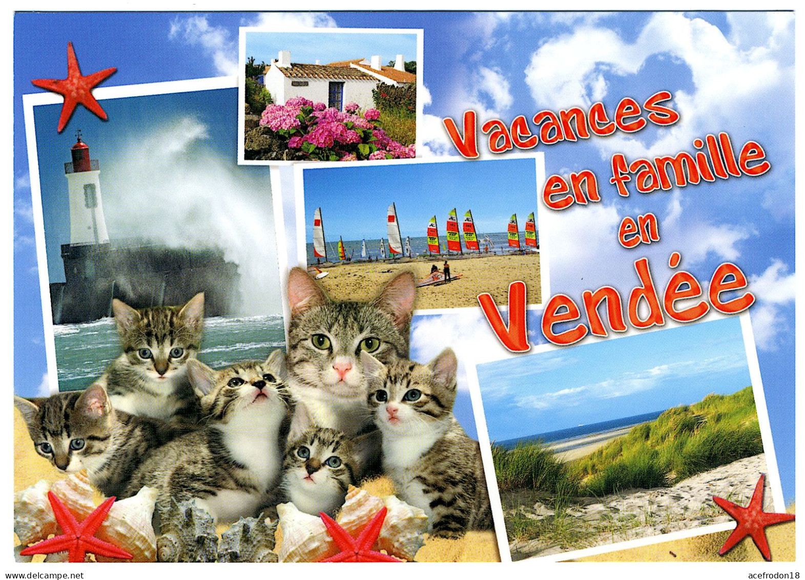 Vacances En Famille En Vendée - Chats - Altri & Non Classificati