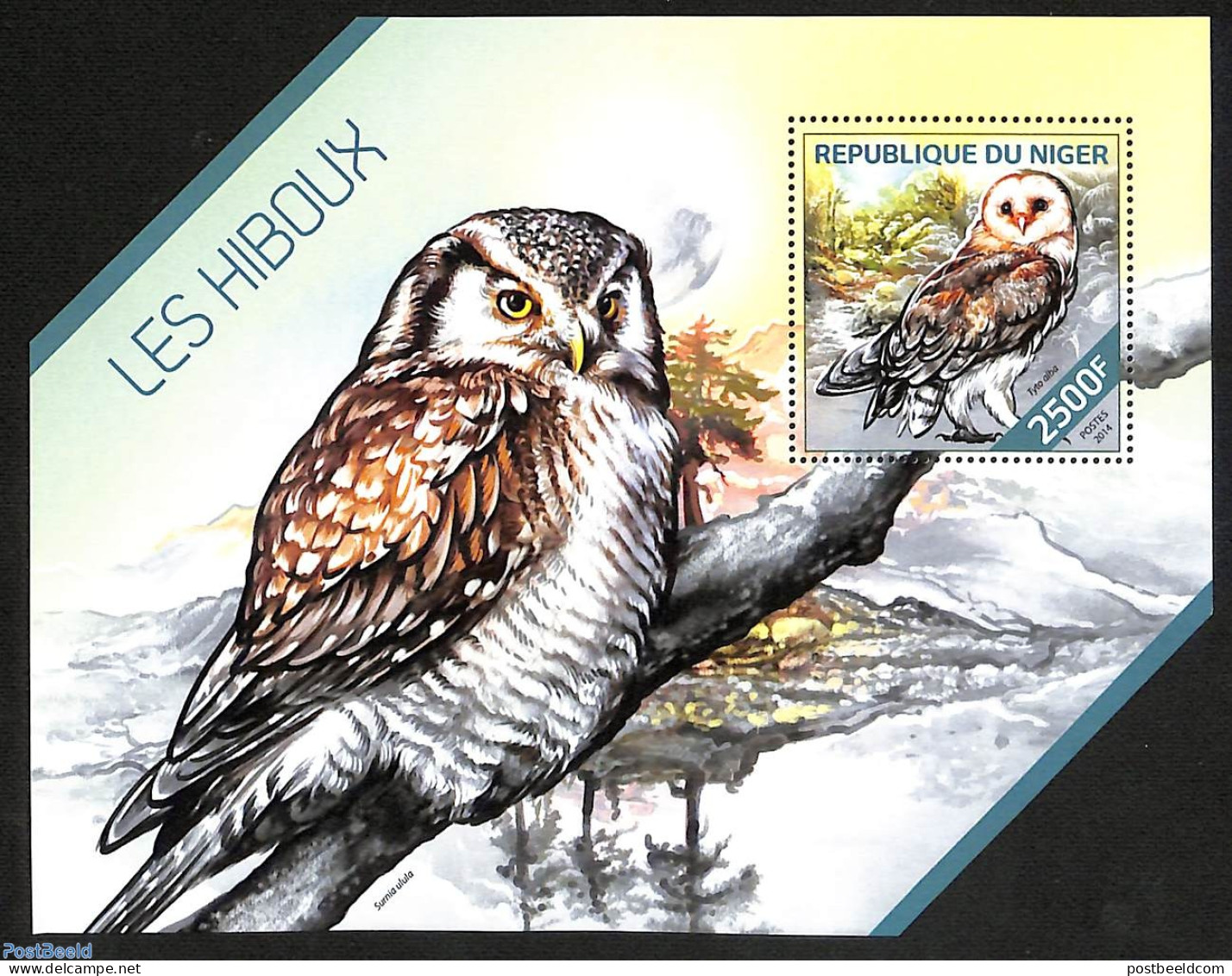 Niger 2014 Owls, Mint NH, Nature - Birds - Birds Of Prey - Owls - Niger (1960-...)