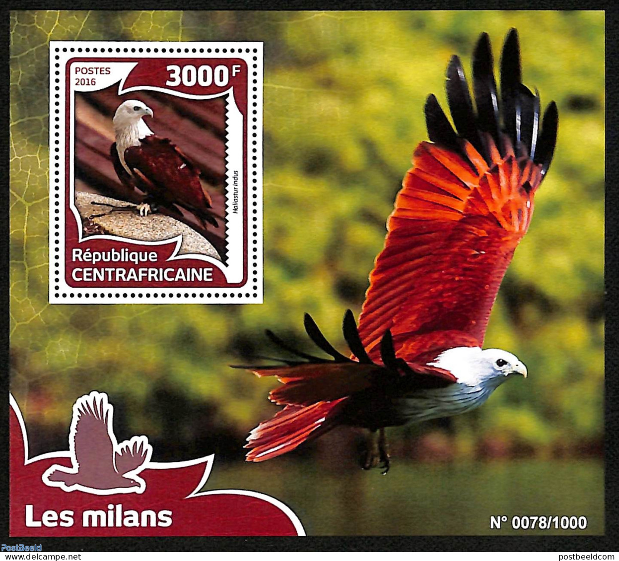 Central Africa 2016 The Kites, Mint NH, Nature - Birds - Birds Of Prey - Repubblica Centroafricana