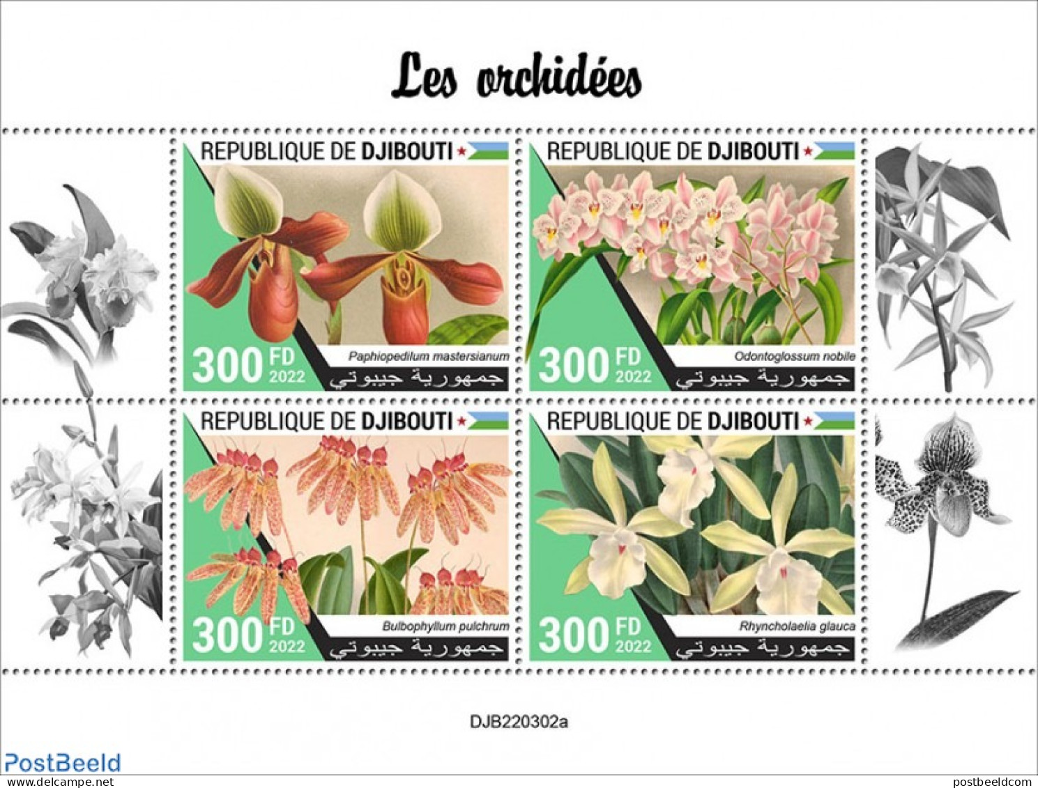 Djibouti 2022 Orchids, Mint NH, Nature - Flowers & Plants - Orchids - Djibouti (1977-...)