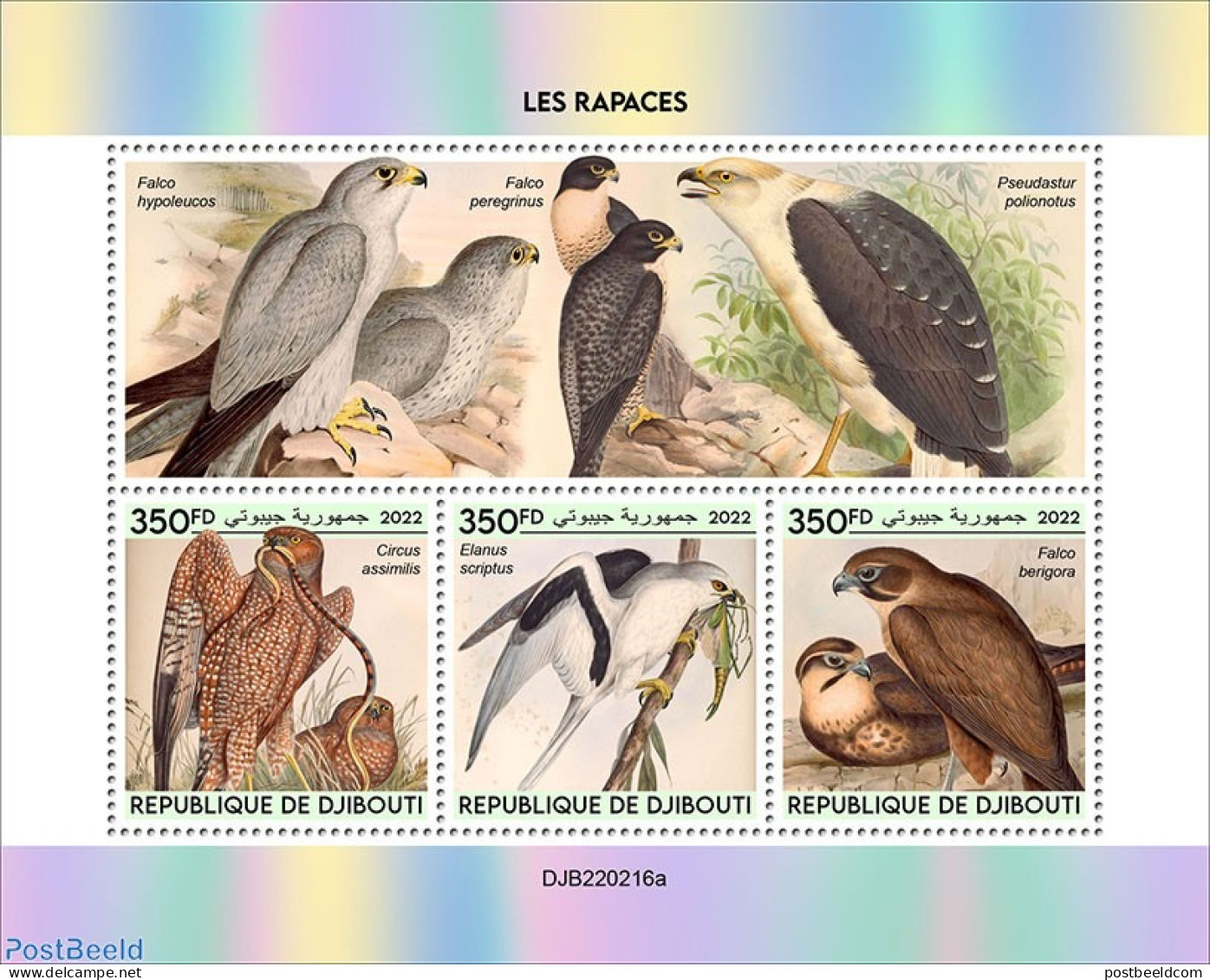 Djibouti 2022 Birds Of Prey, Mint NH, Nature - Birds - Birds Of Prey - Djibouti (1977-...)