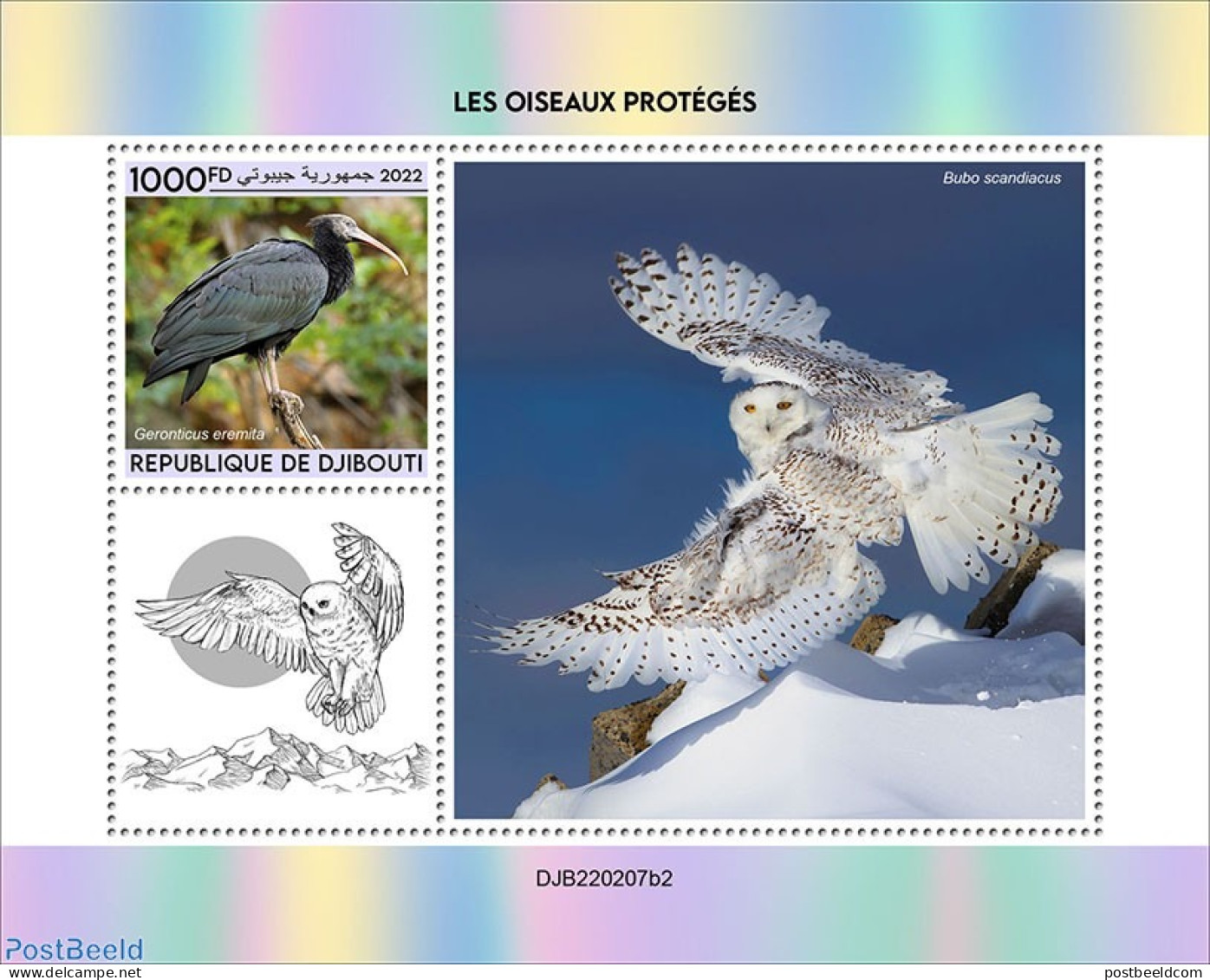 Djibouti 2022 Protected Birds , Mint NH, Nature - Birds - Owls - Djibouti (1977-...)