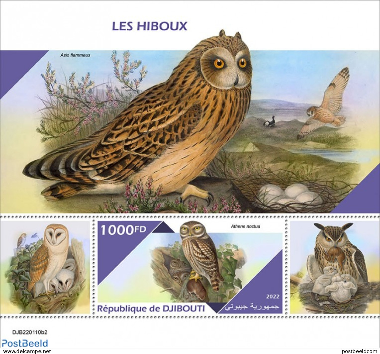 Djibouti 2022 Owls, Mint NH, Nature - Birds - Owls - Djibouti (1977-...)