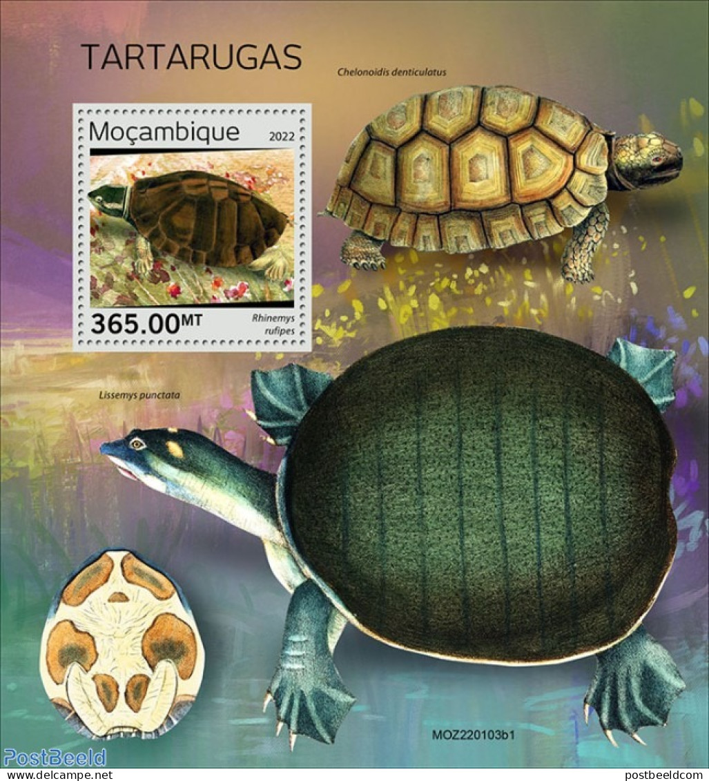 Mozambique 2022 Turtles, Mint NH, Nature - Turtles - Mosambik