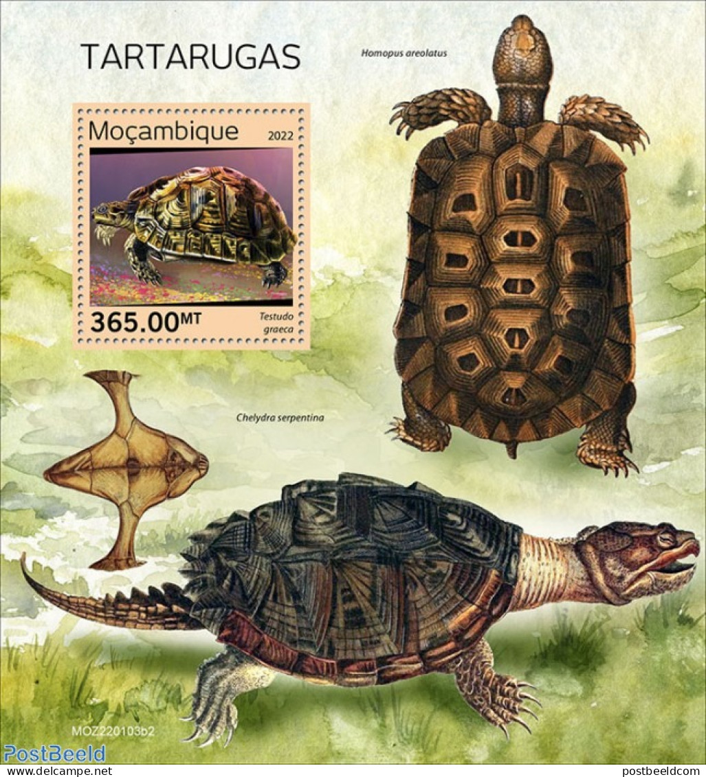 Mozambique 2022 Turtles, Mint NH, Nature - Turtles - Mosambik