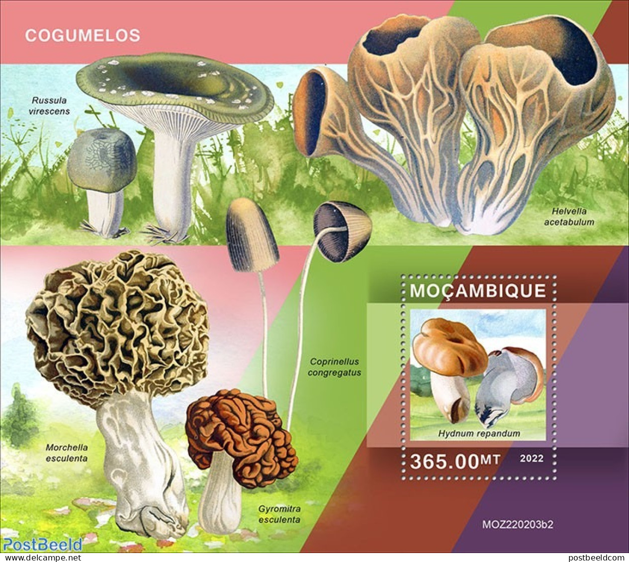 Mozambique 2022 Mushrooms, Mint NH, Nature - Mushrooms - Champignons