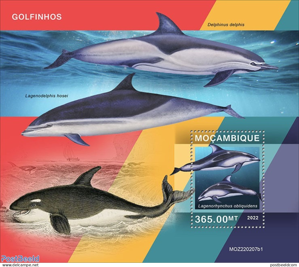 Mozambique 2022 Dolphins, Mint NH, Nature - Sea Mammals - Mosambik