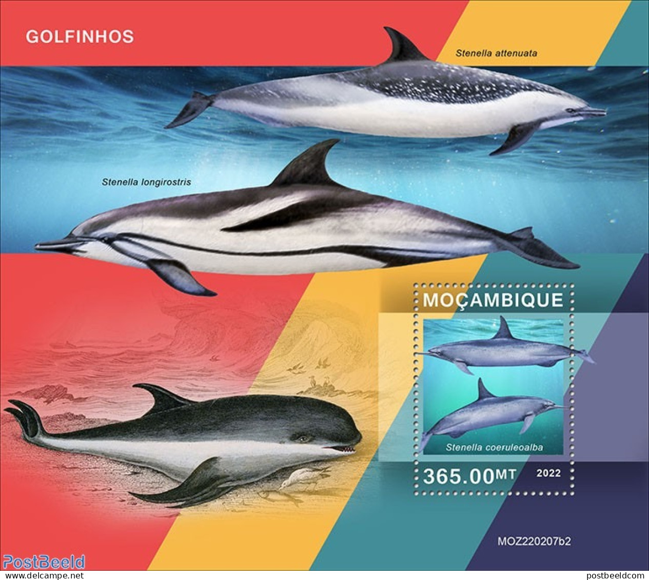 Mozambique 2022 Dolphins, Mint NH, Nature - Sea Mammals - Mozambico