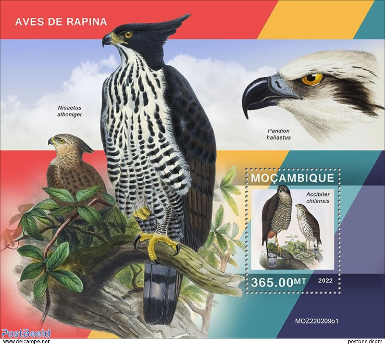 Mozambique 2022 Birds Of Prey, Mint NH, Nature - Birds Of Prey - Mosambik