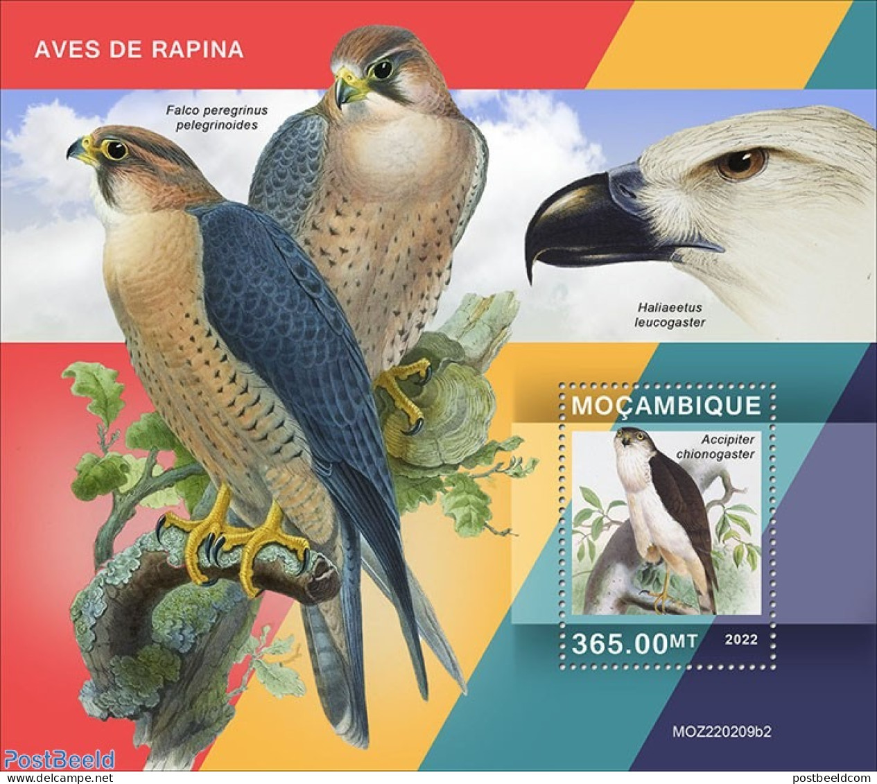 Mozambique 2022 Birds Of Prey, Mint NH, Nature - Birds Of Prey - Mozambico