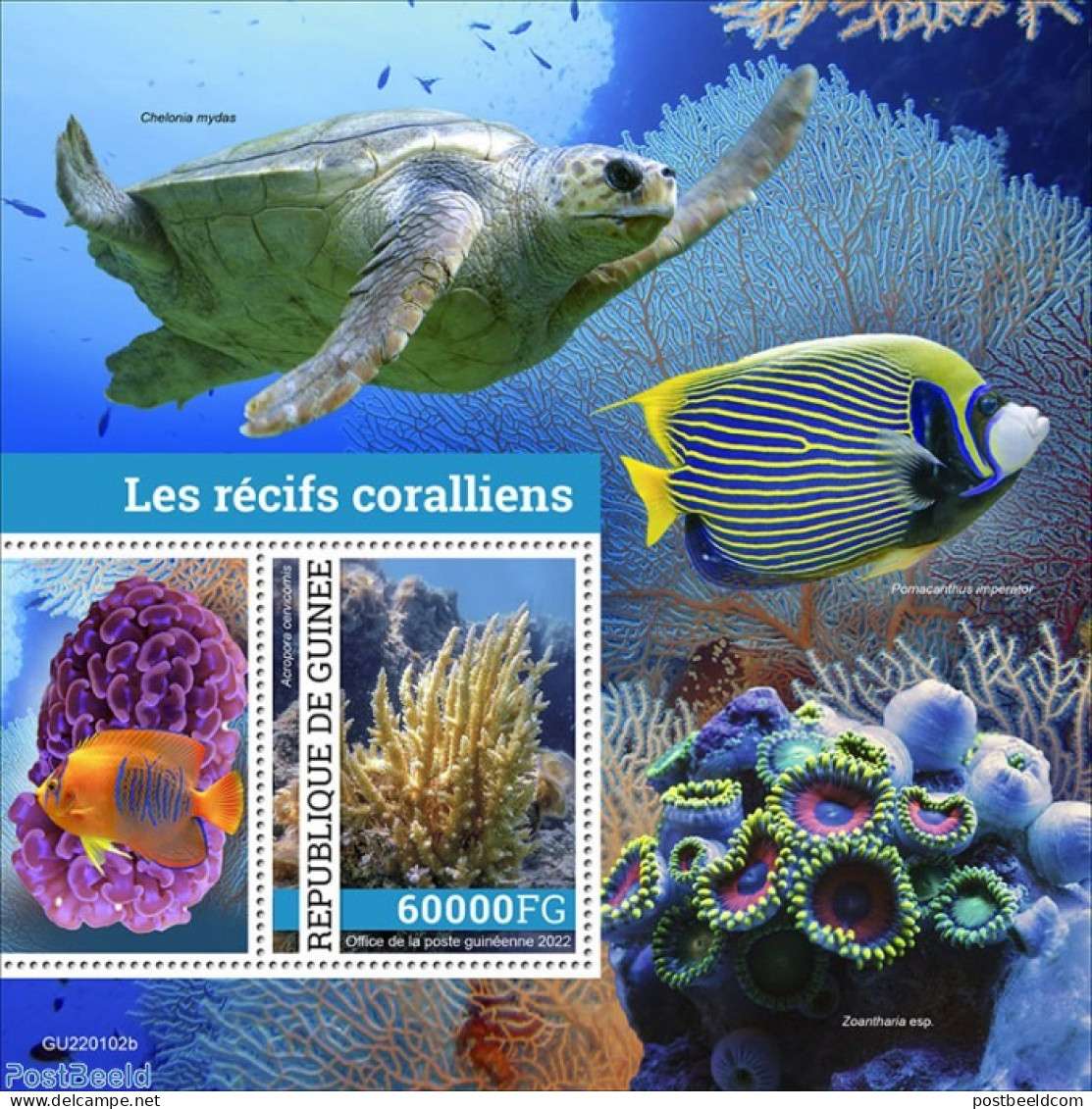 Guinea, Republic 2022 Coral Reefs, Mint NH, Nature - Fish - Turtles - Corals - Peces