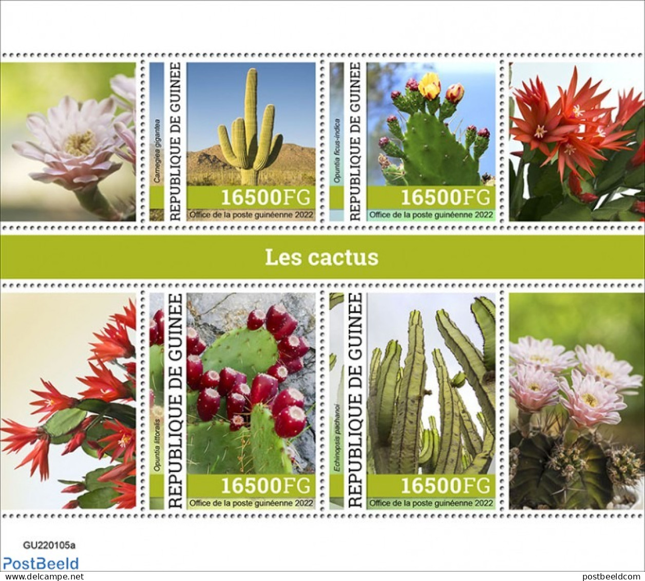 Guinea, Republic 2022 Cactus, Mint NH, Nature - Cacti - Flowers & Plants - Cactusses