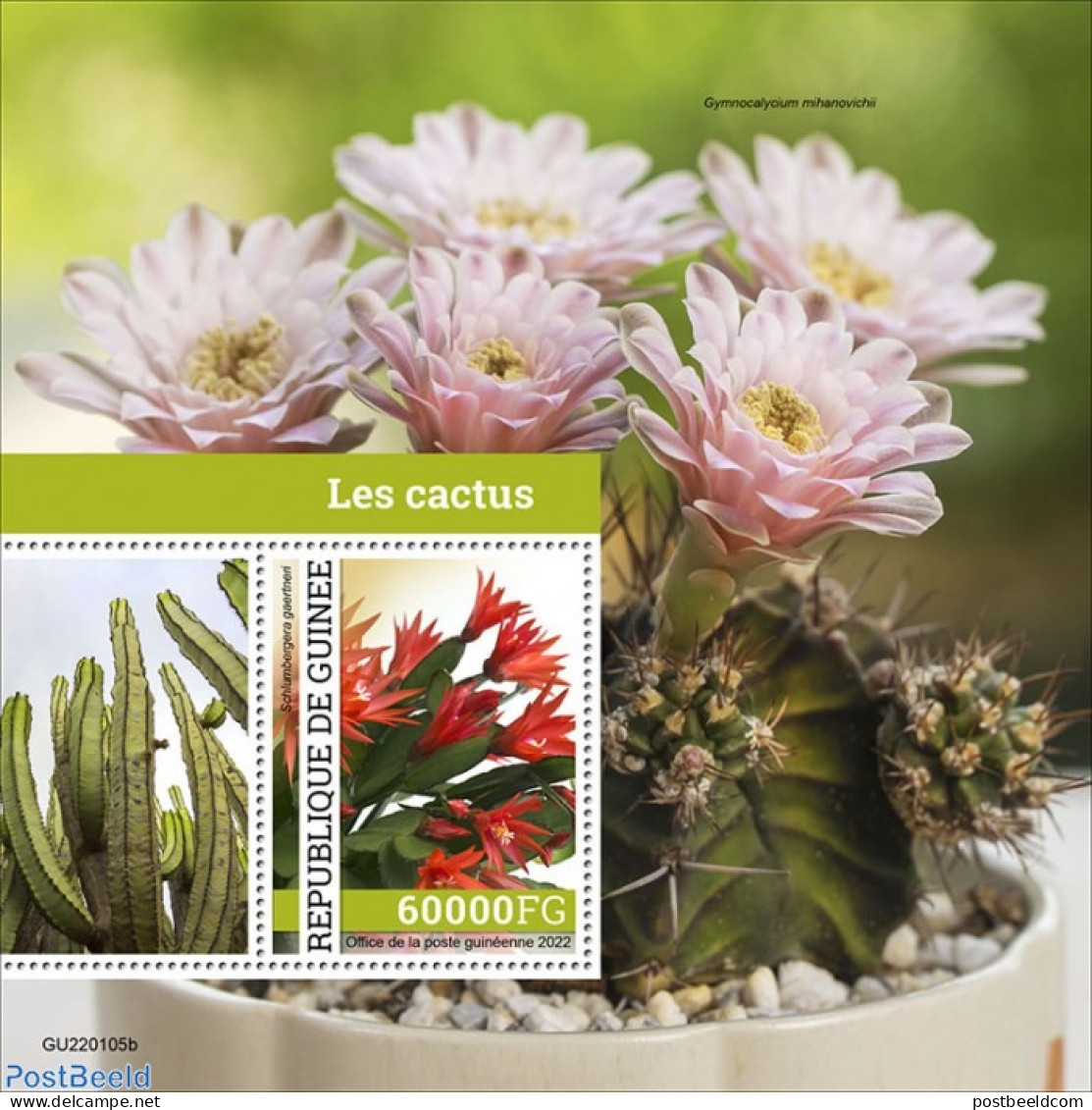 Guinea, Republic 2022 Cactus, Mint NH, Nature - Cacti - Flowers & Plants - Cactussen