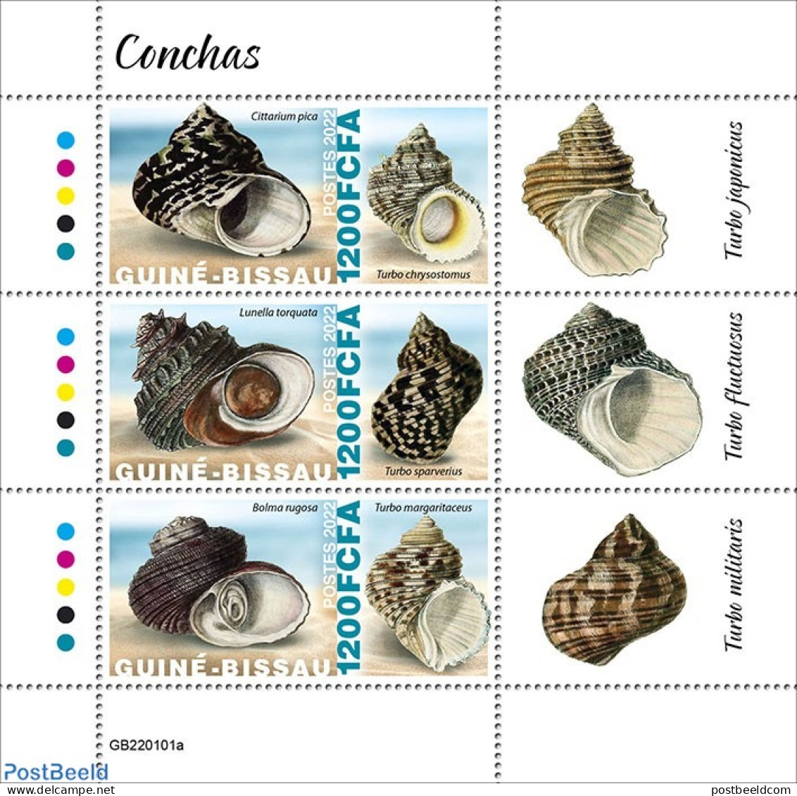 Guinea Bissau 2022 Shells, Mint NH, Nature - Shells & Crustaceans - Marine Life