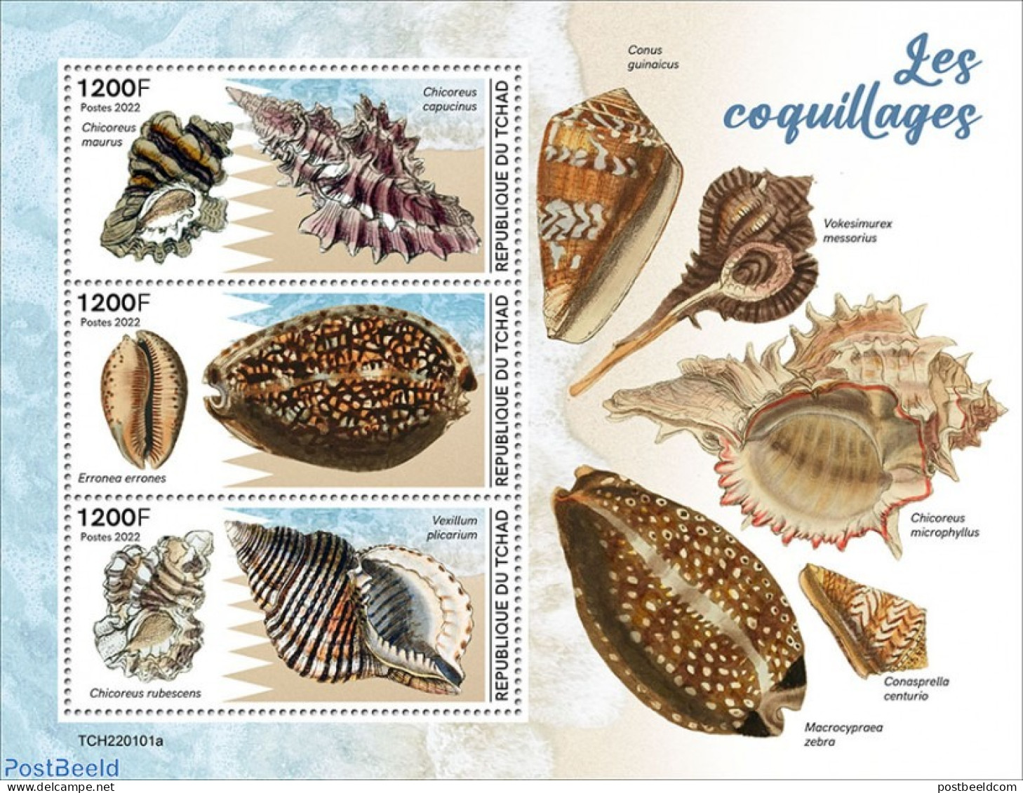 Chad 2022 Shells, Mint NH, Nature - Shells & Crustaceans - Other & Unclassified