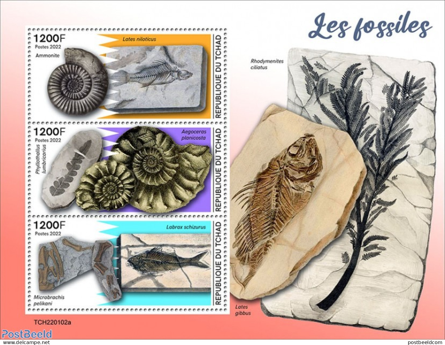 Chad 2022 Fossils, Mint NH, Nature - Prehistoric Animals - Prehistory - Autres & Non Classés