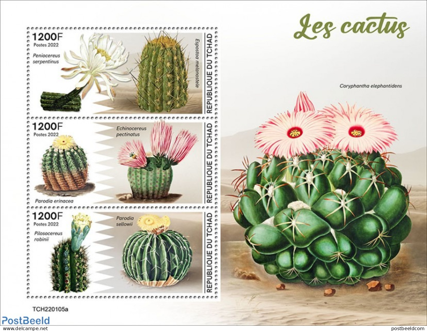 Chad 2022 Cactus, Mint NH, Nature - Cacti - Other & Unclassified