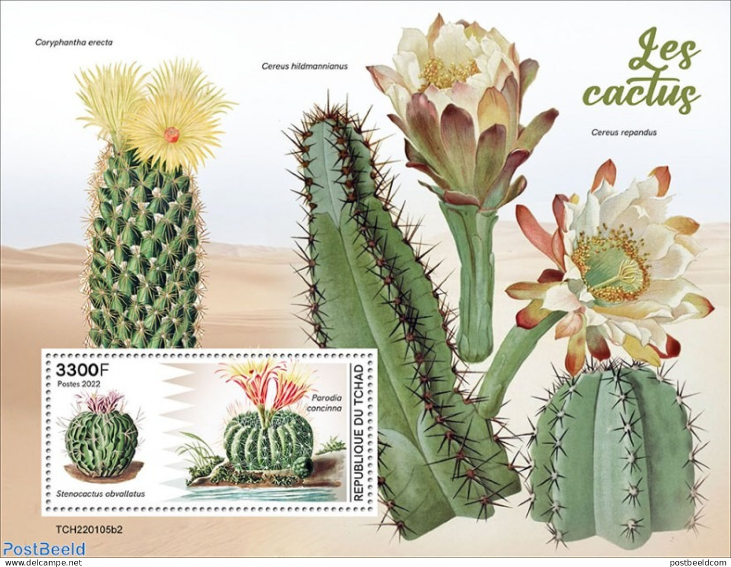 Chad 2022 Cactus, Mint NH, Nature - Cacti - Autres & Non Classés