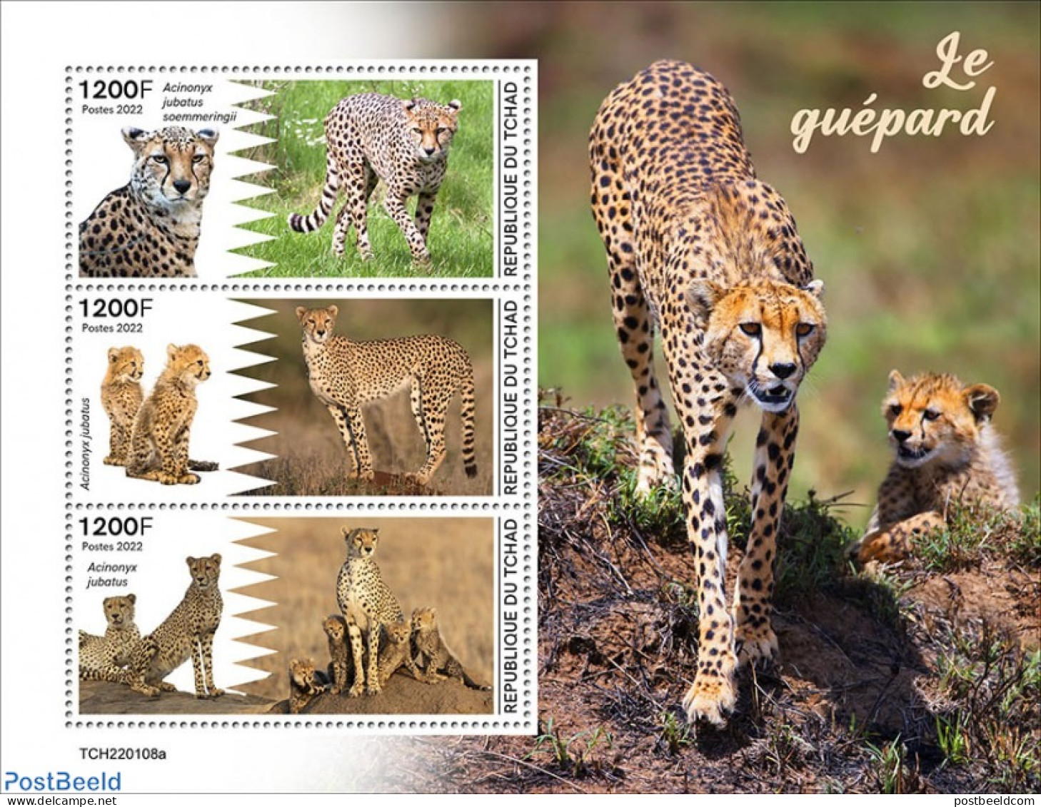 Chad 2022 Cheetah, Mint NH, Nature - Cat Family - Other & Unclassified